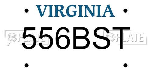556BST Virginia License Plate