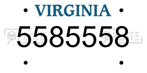 5585558 Virginia License Plate