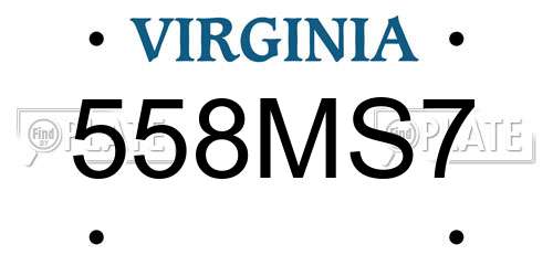 558MS7 Virginia License Plate