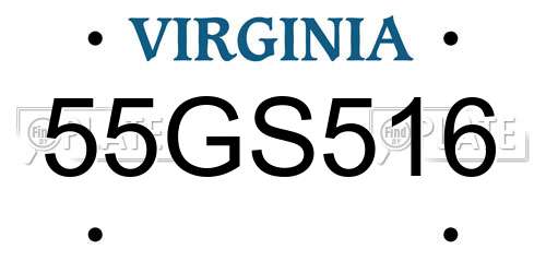55GS516 Virginia License Plate