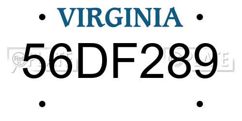 56DF289 Virginia License Plate