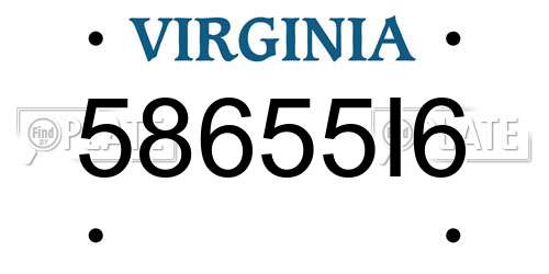 58655I6 Virginia License Plate