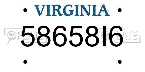 58658I6 Virginia License Plate