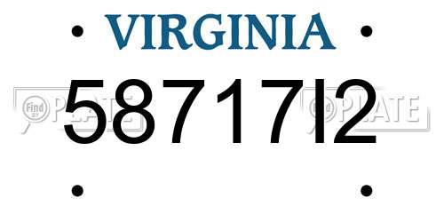 58717I2 Virginia License Plate