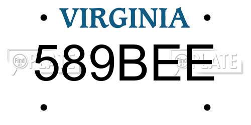 589BEE Virginia License Plate