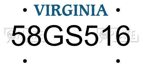 58GS516 Virginia License Plate