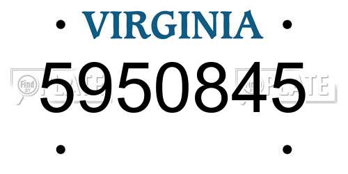 5950845 Virginia License Plate