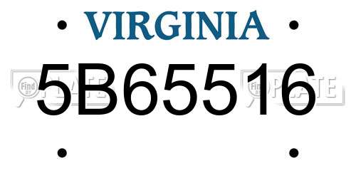 5B65516 Virginia License Plate