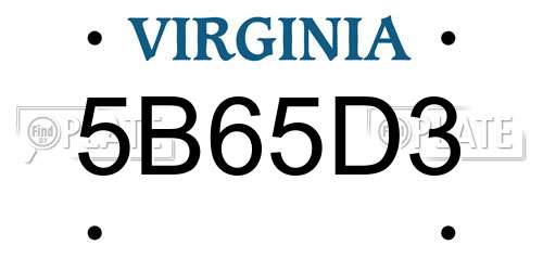 5B65D3 Virginia License Plate