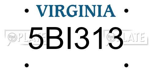 5BI313 Virginia License Plate