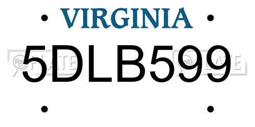 5DLB599 Virginia License Plate
