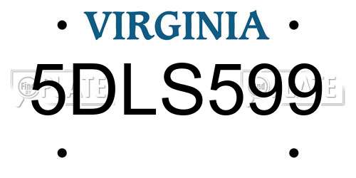 5DLS599 Virginia License Plate