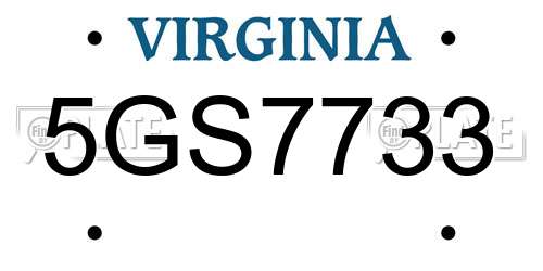 5GS7733 Virginia License Plate
