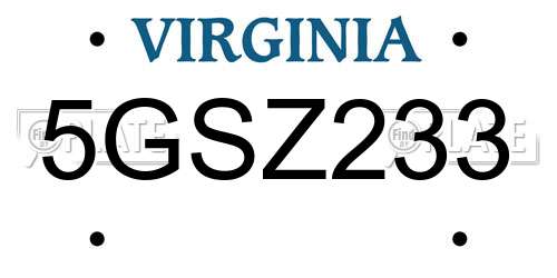 5GSZ233 Virginia License Plate