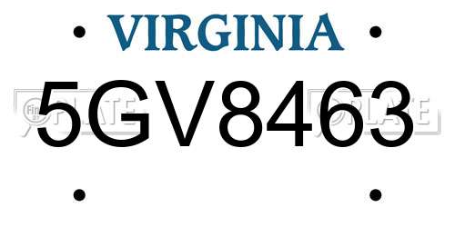 5GV8463 Virginia License Plate