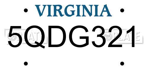 5QDG321 Virginia License Plate