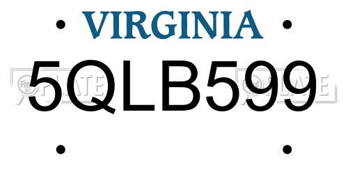 5QLB599 Virginia License Plate