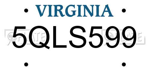 5QLS599 Virginia License Plate