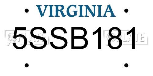 5SSB181 Virginia License Plate