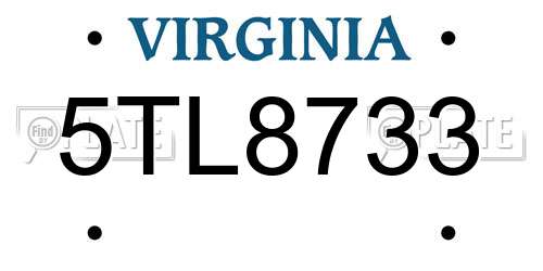 5TL8733 Virginia License Plate