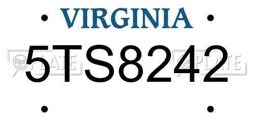 5TS8242 Virginia License Plate