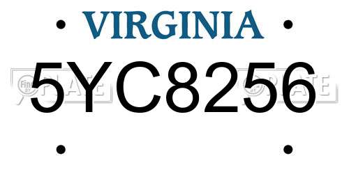 5YC8256 Virginia License Plate