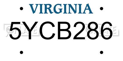 5YCB286 Virginia License Plate