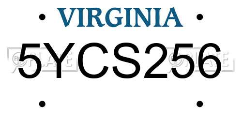 5YCS256 Virginia License Plate