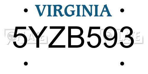 5YZB593 Virginia License Plate