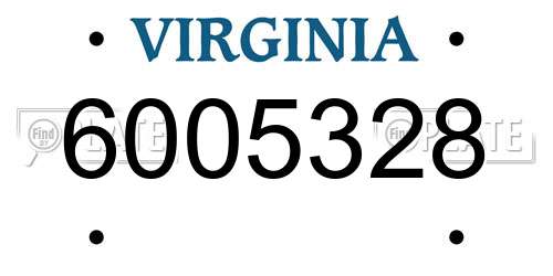 6005328 Virginia License Plate