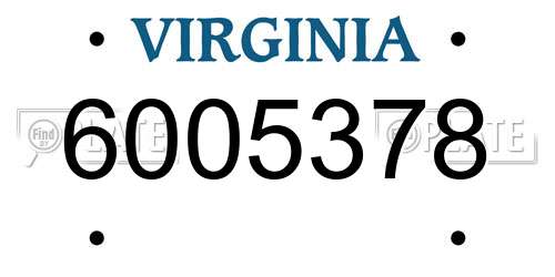 6005378 Virginia License Plate