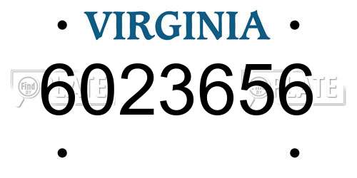 6023656 Virginia License Plate