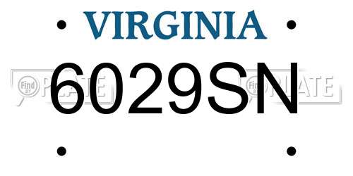 6029SN Virginia License Plate