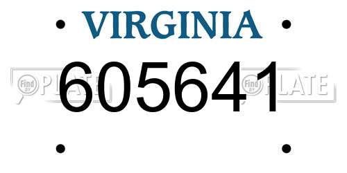 605641 Virginia License Plate