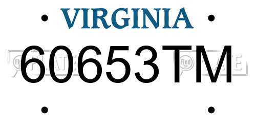 60653TM Virginia License Plate
