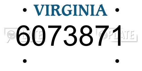 6073871 Virginia License Plate