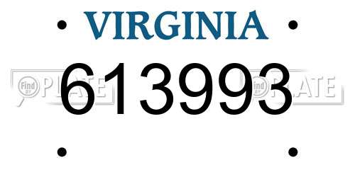 613993 Virginia License Plate