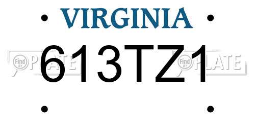 613TZ1 Virginia License Plate