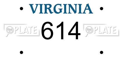 614 Virginia License Plate