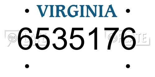 6535176 Virginia License Plate