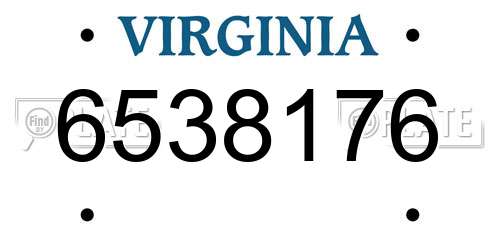 6538176 Virginia License Plate