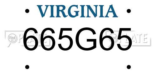 665G65 Virginia License Plate
