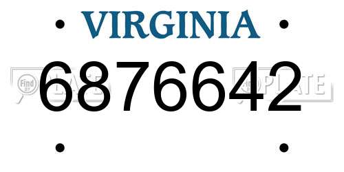 6876642 Virginia License Plate