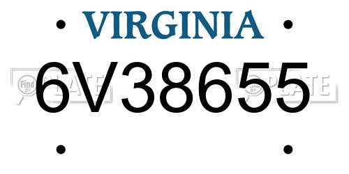 6V38655 Virginia License Plate