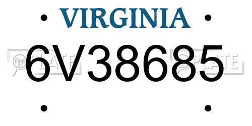 6V38685 Virginia License Plate