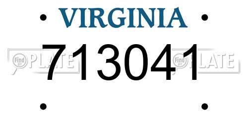 713041 Virginia License Plate