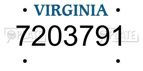 7203791 Virginia License Plate