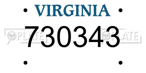 730343 Virginia License Plate