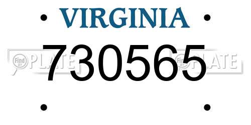 730565 Virginia License Plate