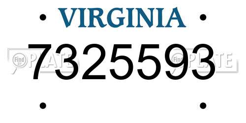 7325593 Virginia License Plate